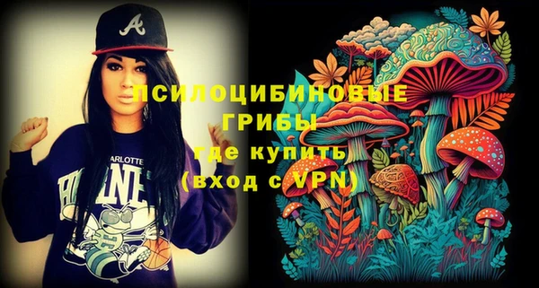 соль ск Горно-Алтайск