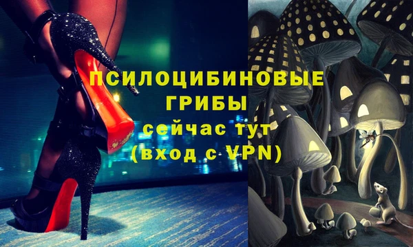 соль ск Горно-Алтайск
