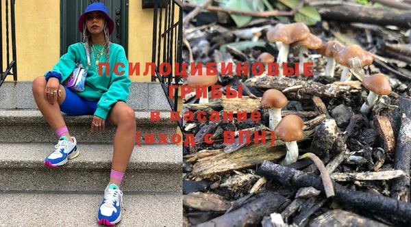 дмт Горняк