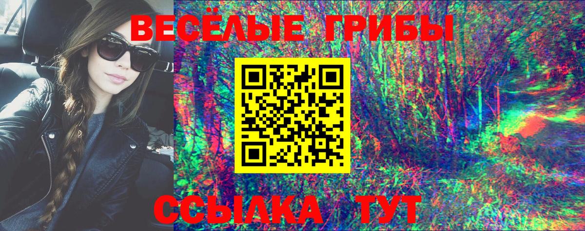 купить  цена  Вход с VPN  Верхний Уфалей  Галлюциногенные грибы MAGIC MUSHROOMS 