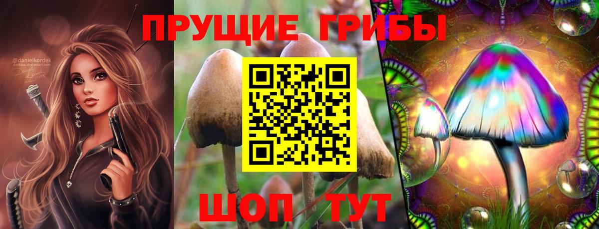 Галлюциногенные грибы Psilocybine cubensis Верхний Уфалей